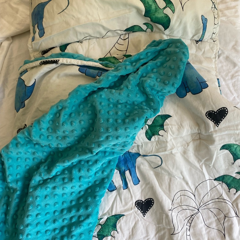 Dinosaur Adventure Kids Nap Mat in Blue and White
